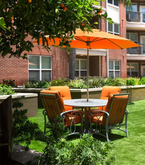 Courtyard at The Grand at Upper Kirby | Apartments in Houston, TX