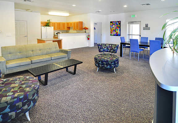 A living room with a grey carpet and a grey couch.
