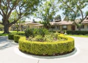 Thumbnail 18 of 19 - Ventura Terrace Greenery