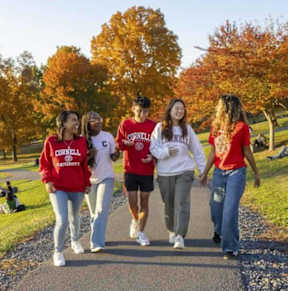 Four people are walking on a path in a park.