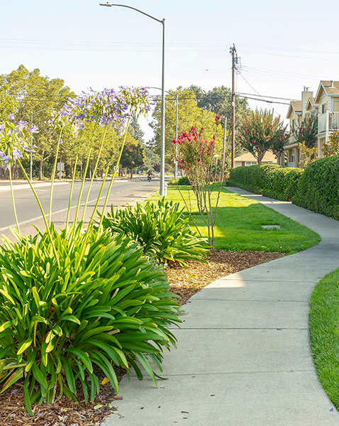 Garden Walkway at LINCOLN GARDENS APARTMENTS, Napa, 94559