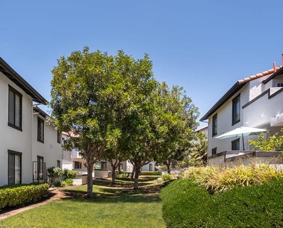 a tree in a yard in front of some houses