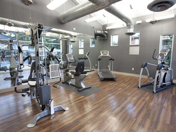 A gym with a variety of exercise equipment including treadmills, stationary bikes, and weight machines.