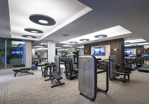 A gym with treadmills and elliptical machines.