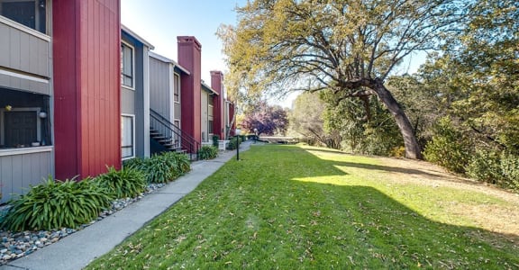 a green lawn in front of a row of houses