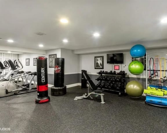 Photo Gallery Image
