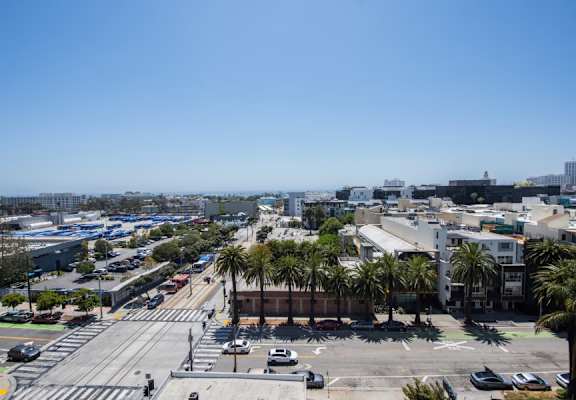 A city street with cars and palm trees.