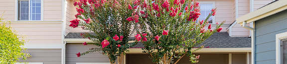  Walkway at LINCOLN GARDENS APARTMENTS, Napa, CA 94559