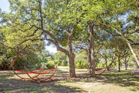 Outdoor green space with hammocks
