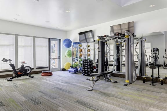 the gym in the owners home is equipped with weights and other gym equipment