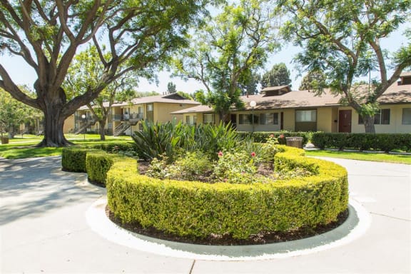 Ventura Terrace Greenery