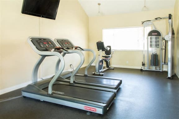 Gym Equiptment