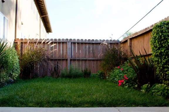 Ventura Terrace Outdoors