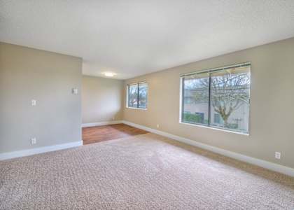 A room with a carpeted floor and a window showing a tree outside.