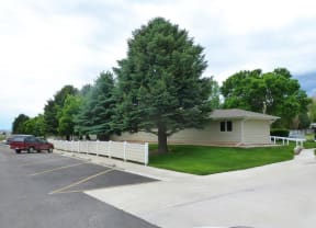 Mature Trees at Property