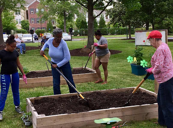 A group of people are working in a garden.