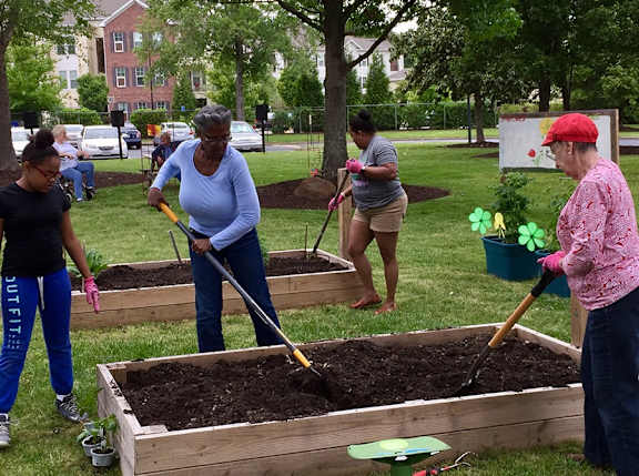 a group of people working in a garden