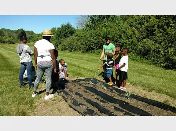 a group of people standing around a pile of soil