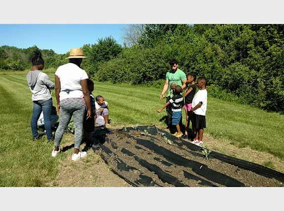a group of people standing around a pile of soil