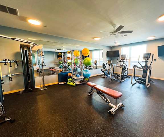 A spacious gym with cardio machines, exercise balls, large windows, TVs, and weights at Royster Commons Apartment Homes. 