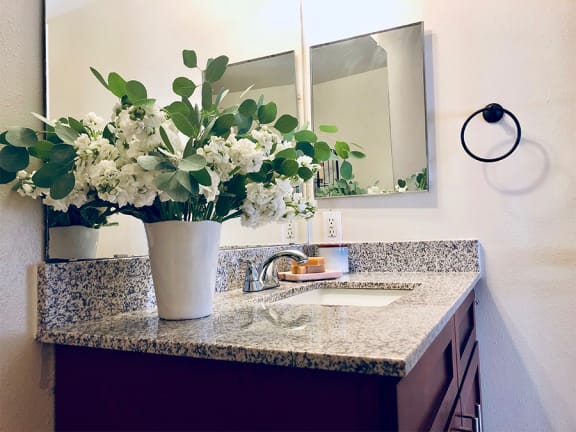 Bathroom sink
