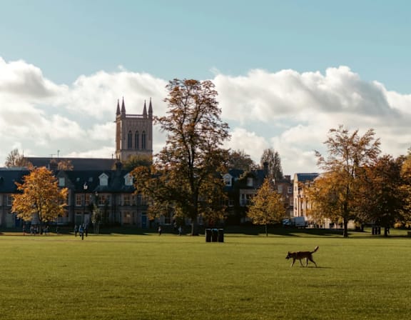 A dog is running across a grassy field with a church in the background. at Origins Apartments, Cambridge