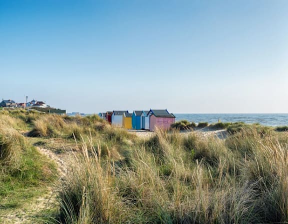 a row of colorful beach huts on the beach near the ocean