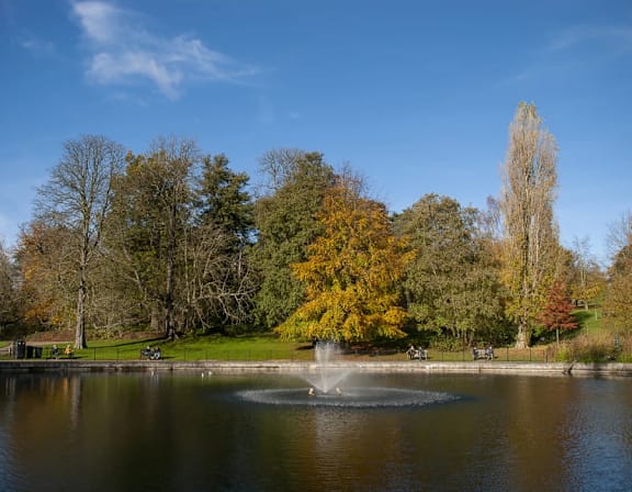 a fountain in the middle of a lake in a park