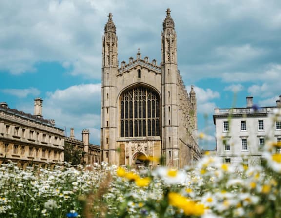 A historic building with a large arched window is surrounded by a field of flowers. at Origins Apartments, Cambridge