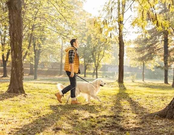 A man walking a dog in a park. at Origins Apartments, Cambridge