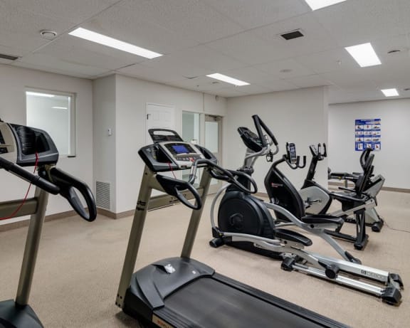 The fitness centre, well-lit and full of equipment.