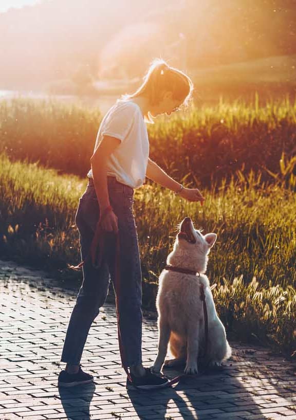 a person and dog looking at the grass