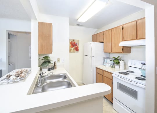 Fully-Equipped Kitchen with White Appliances