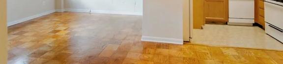 1B Living Room and Kitchen