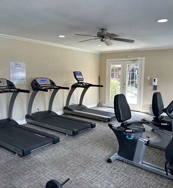 A gym with treadmills and elliptical machines.
