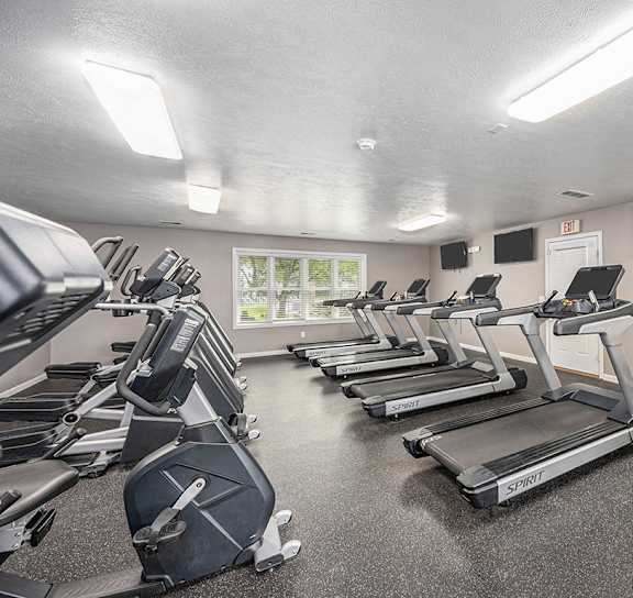 Cardio Equipment at Gull Prairie/Gull Run Apartments and Townhomes, Kalamazoo, MI, 49048