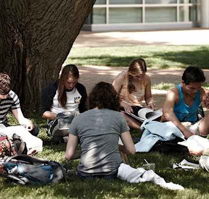 a group of students sitting in the grass under a tree