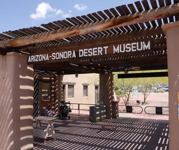 the entrance to the sonora desert museum is under awning