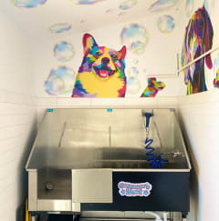 dog washing station at La Jolla Blue, San Diego, California, 92122