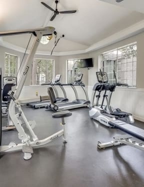 the gym has plenty of cardio equipment and large windows