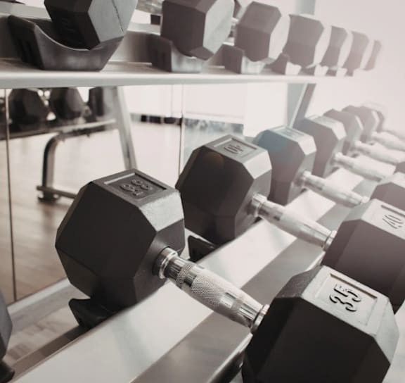 A row of dumbbells with the number 35 on the right one.