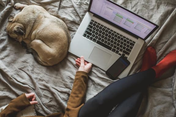 Woman and dog on bed together with computer at Mirabella Apartments, CA, 92203