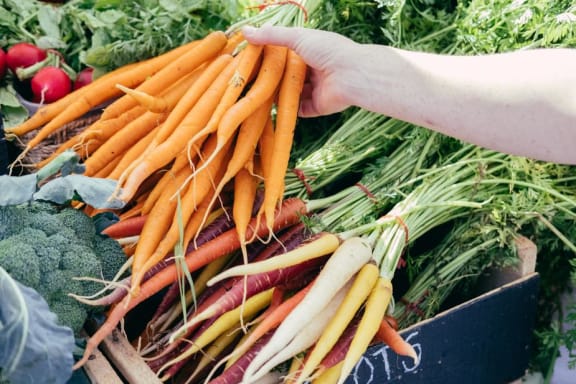 Carrots at Farmer's Market at Mirabella Apartments, Bermuda Dunes, CA