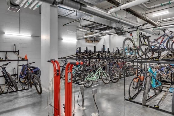 The bike shop macleod trail outlet