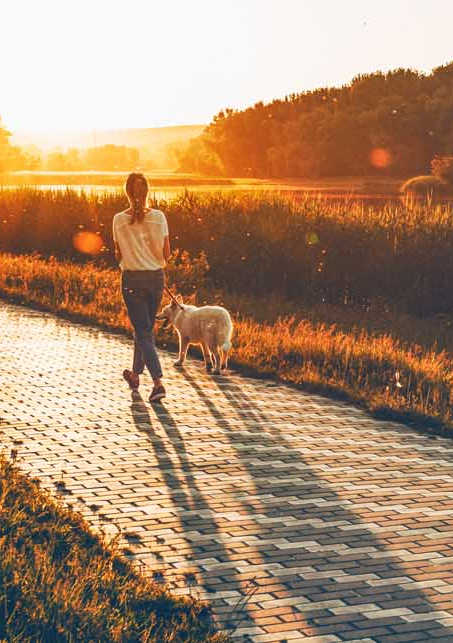 a person walking a dog down a path