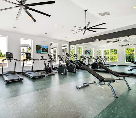 the gym has plenty of cardio equipment and large windows