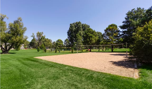 Volleyball at Village Gardens Apartments in Fort Collins, CO
