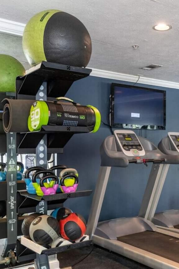 A gym with treadmills and exercise balls.