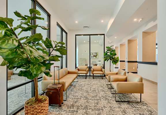 A room with a large window, a couch, and a potted plant.