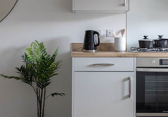 a kitchen with white cabinets and a sink and a plant
